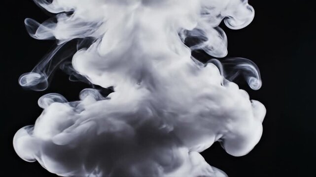 A striking image showcases a burst of white smoke dramatically contrasted against a stark black background, creating a visually captivating and ethereal composition.