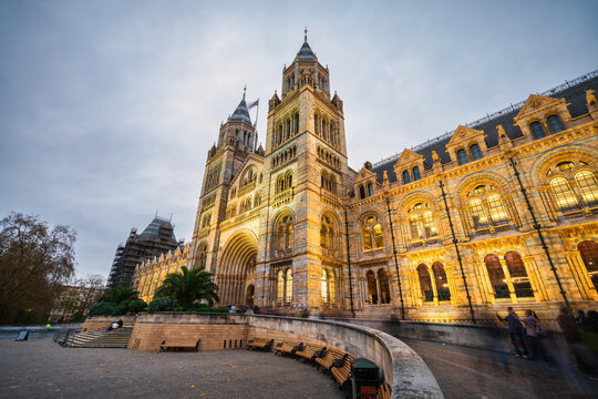 Natural History museum in London. England