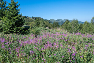 Obraz premium Belasitsa Mountain around Kongur peak, Bulgaria