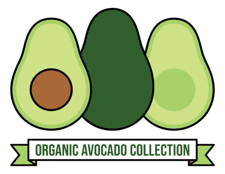 Cartoon illustration of organic avocado collection depicting whole and halved fruit with pit for food and packaging design