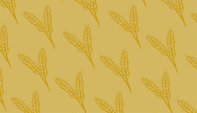Wheat pattern background. Grains and ears of wheat, rye or barley. Wrapping Cereal for bread. Vector illustration.