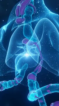Vertical video: Closing camera pulling torso into view in space, highlighting pulsing tracheal glow