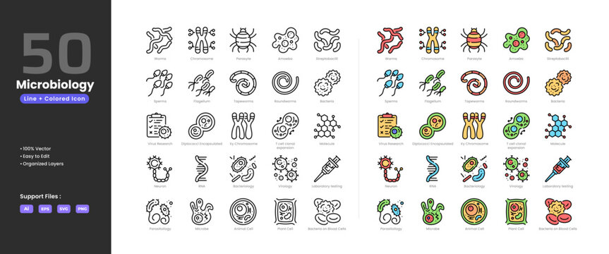 Microbiology icon set collection - colored outline line art style. Containing amoeba animal cell bacteria bacteriology chromosome diplococci encapsulated flagellum laboratory testing microbe molecule.
