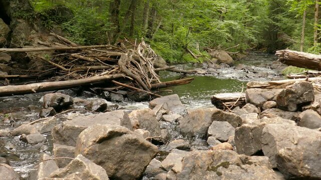 Beaver dam downstream from Iroquois Falls on a small river with rapids and a waterfalls along Sentier Iroquois, a hiking trail near Lac Simon in Duhamel, Quebec, Canada.