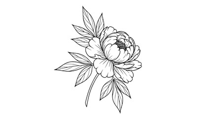Elegant Peony Flower Line Art Tattoo Design, Floral Sketch © Morham