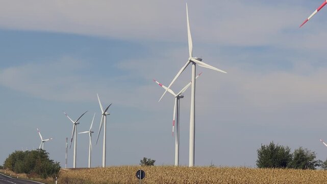 New Electric Power Turbines Wind Farm in Yellow Corn Fields of Vojvodina Serbia Renewable Energy