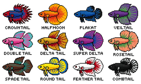 Pixel Art Fish Collection : A creative set of pixel art fish characters and colorful variations. Perfect for 8-bit retro game design, Various colorful betta fish species on display 