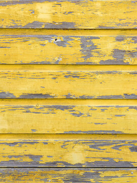 peeling paint over wood