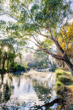 Mist on the Avon River on an early morning in autumn