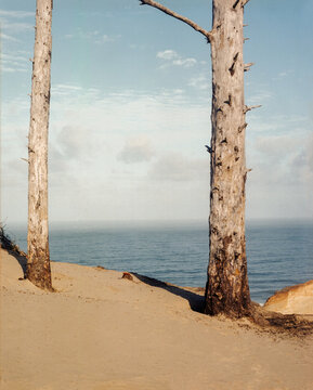 Landscape of Beach and Sea