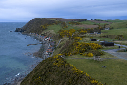 Aerial view of the historic village of Crovie nestled at the base of steep cliffs covered in yellow gorse bushes along the rugged coastline of the North Sea in Crovie, Scotland, United Kingdom.