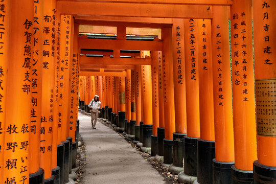 Fushimi Inari Shrine in Kyoto, Japan