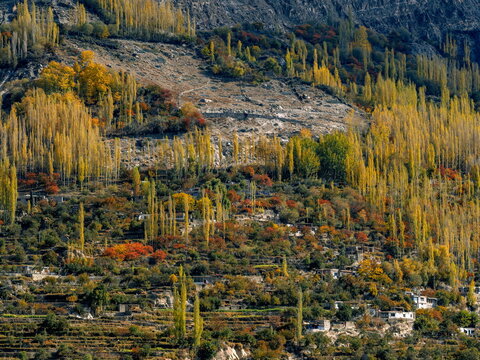 Autumn Views of Karimabad, Hunza, Pakistan