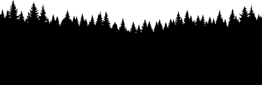 Black forest silhouette, pine tree landscape, vector trees, dark foliage