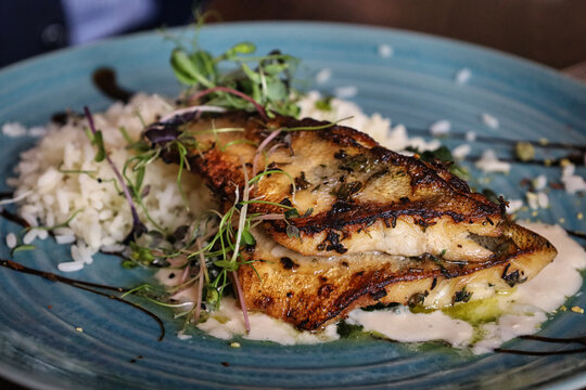 Gebratenes Zanderfilet auf cremiger Sauce mit wei&szlig;em Reis und frischen Kr&auml;utersprossen auf einem blauen Keramikteller serviert, edle Food-Fotografie &ndash; Gastronomie, Fischgericht