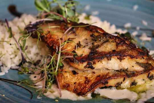 Gebratenes Zanderfilet auf cremiger Sauce mit wei&szlig;em Reis und frischen Kr&auml;utersprossen auf einem blauen Keramikteller serviert, edle Food-Fotografie &ndash; Gastronomie, Fischgericht