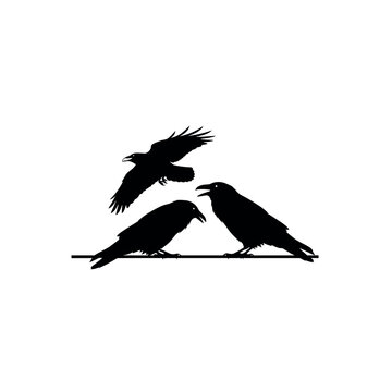 Silhouette of Three Crows on a Wire with One Flying Above.