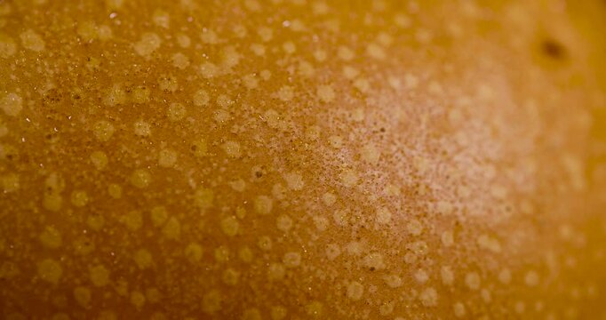 A yellow-orange pear with dots on the skin, this pear has a pronounced natural relief of pores and light fragments on the bright shell of the fruit.