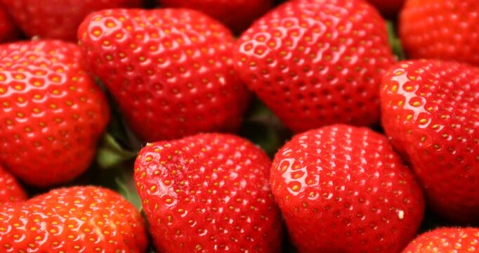 Many fresh ripe strawberries as background, closeup. Camera spinning