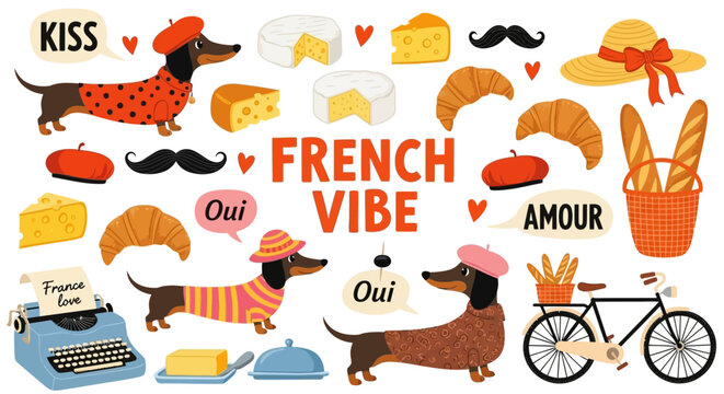 French vibe, dachshund illustrations, cute dog graphics, vector icons