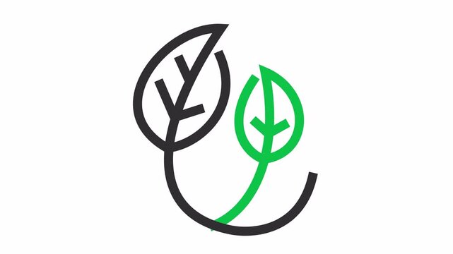 Environmental partnership with two leaves line art icon cartoon animation. Ecological balance with a minimalist twin leaves symbol for the nature conservation concept.
