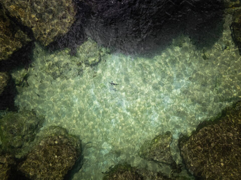Aerial view of a small natural rock pool with crystal clear turquoise water and a swimming fish Cascais, Lisbon, Portugal.