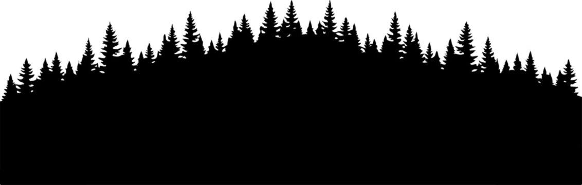 Black silhouette forest trees, pine tree landscape, vector forest border, tree line silhouette