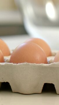 Vertical video: Camera shifting focus filming brown egg in carton on kitchen counter showing sheen