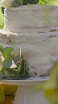 Vertical video: Pulling camera down revealing tiered cake on stand in garden, showing rose, lemons