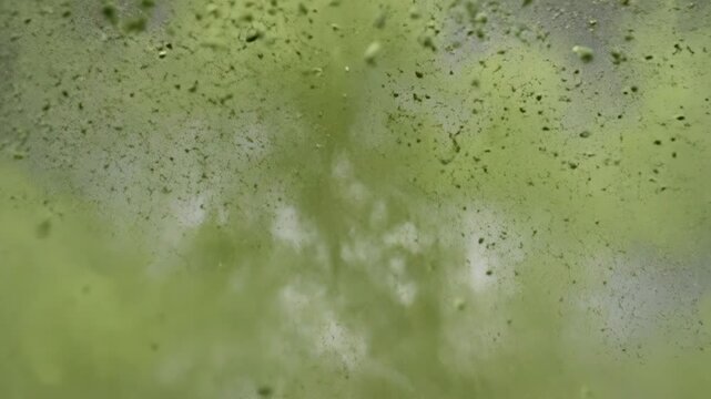 Green matcha powder explosion dispersing in mid-air against a minimal gray gradient background, fine particles and dust clouds forming a starburst pattern in studio lighting.
