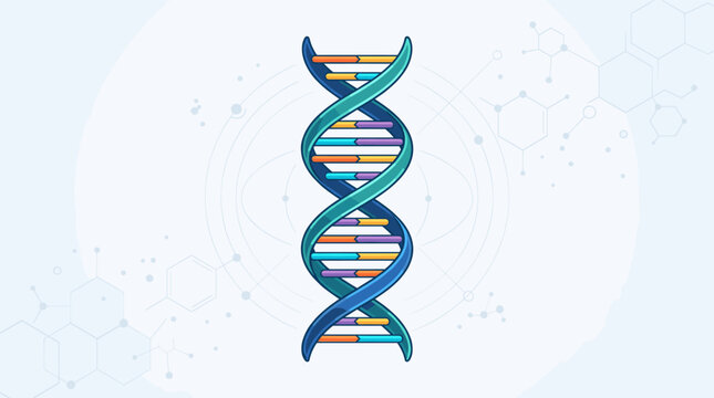 Abstract illustration of a DNA double helix strand on a white background.