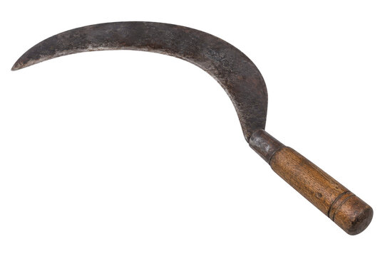 Antique curved sickle with wooden handle isolated on white background, traditional farming hand tool for harvesting crops and rural agriculture concept