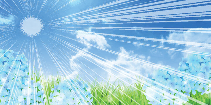 Radiant Sunlight Shining Over Blue Hydrangeas and Green Summer Grass