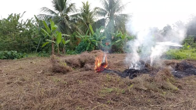 Wide shot of a pile of dry grass and brushwood burning with bright orange flames and thick white smoke