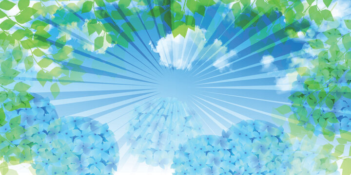 Hydrangea and Green Leaves Under the Summer Sun