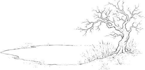 Obraz premium Minimalist Line Art Sketch of a Leafless Tree by a Pond