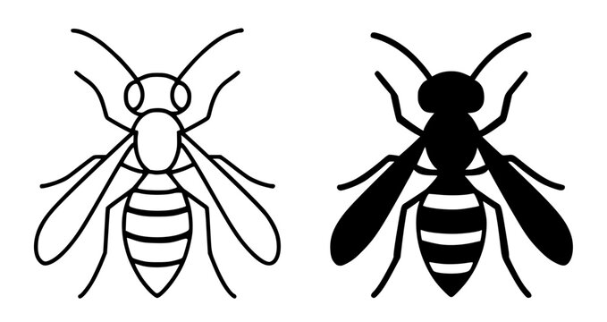 Wasp minimalist illustration, insect icon outline and silhouette