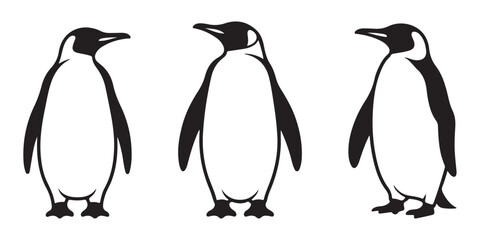Three emperor penguins in a row showing different poses and sides for educational wildlife illustration. © Sen