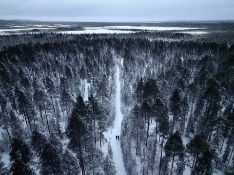 Aerial view of two people walking along a snow-covered path through a dense pine forest under an overcast winter sky.