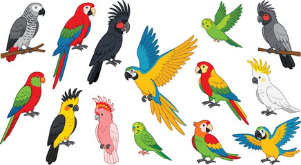 Colorful Parrot and Tropical Bird Vector Collection Featuring Macaws, Cockatoos, Budgies, and Exotic Wildlife Illustration Set © MdJalal
