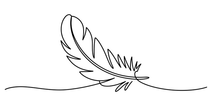 Single continuous line drawing of a simple bird feather isolated on white background, Vector