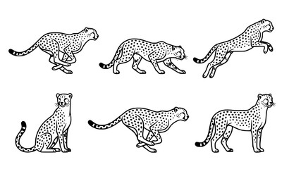 Cheetah wildlife vector minimal fast animal pose illustration pack © MdSakib