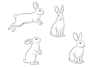 Obraz premium Set of four rabbits in different poses including jumping sitting and standing