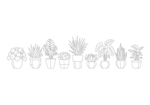 Set of various indoor potted house plants in simple minimalist line art style