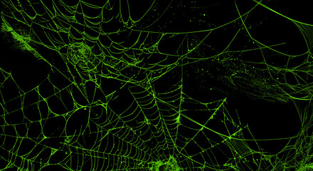 Glowing green spider web, neon black background, eerie Halloween decoration, spooky ambiance © Junaid