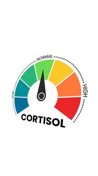 Monitoring High Cortisol Levels - Stress Hormone Gauge for Mood Balance and Fight-or-Flight Response Concept