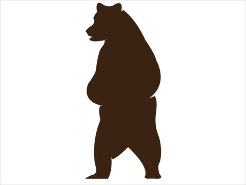 bear imge logo