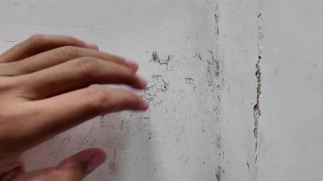 A shot of a neglected wall corner covered in spiderwebs, dust, and a small insect. Suitable for cleaning services, pest control, and house maintenance themes.