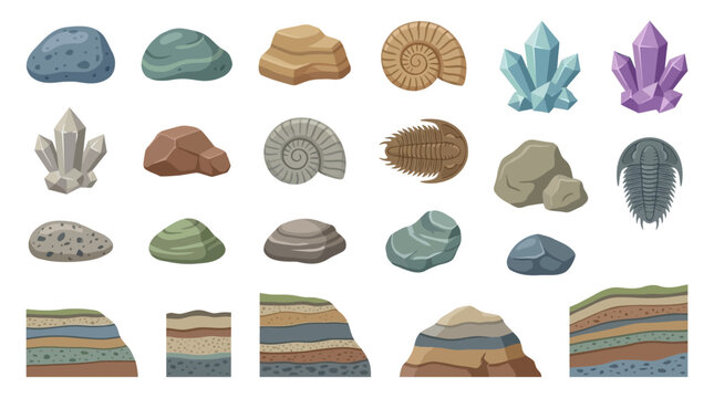 Collection of Geological Rock Samples Mineral Crystals Prehistoric Fossils and Soil Strata Layers