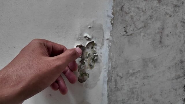 Detail of a vertical crack and peeling paint layers on an interior house wall. Highlights common structural issues and maintenance needs during a home survey.
